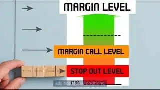 Mastering Margin Levels: The Key to Sustained Forex Success | FX STORE EA