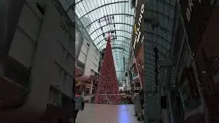 This is awesome #youtubeshort#toronto #cityexplorers #shortsvideo #trendingshorts 🇨🇦