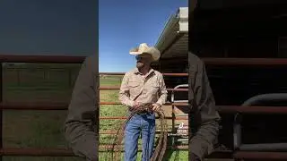 You know the feeling 😏 #workingwithdad #fatherandson #relatable #funny #farmlife #ranchlife #cow