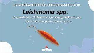 V&Iacute;DEO EDUCATIVO SOBRE PARASITAS  -  LEISHMANIA