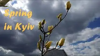 Spring mood | Video editing | Слайдшоу