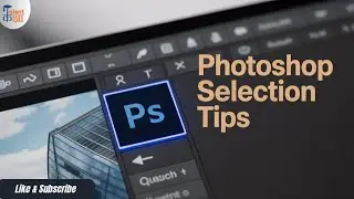 Using Quick Selection Tool PHOTOSHOP