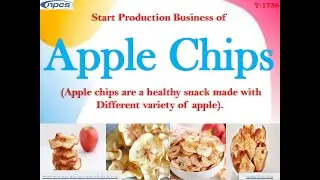 Start Production Business of Apple Chips.