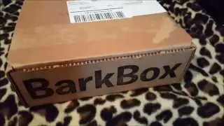 BarkBox | April 2015 | Fitness Theme!