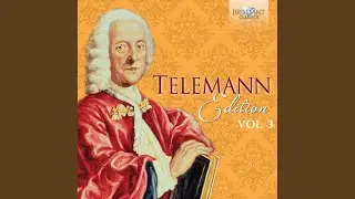 Trio Sonata in B Minor, TWV 42:h4: I. Largo, II. Vivace, III. Dolce, IV. Vivace