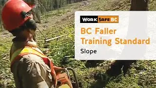 BC Faller Training Standard - Slope (11 of 17)