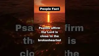 Wisdom11