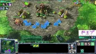 SC2 Zai[T] vs [Z]vilePsY