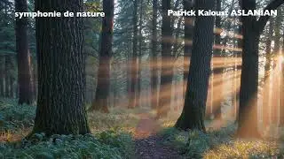 Music for exhibition 2 : Symphonie de nature