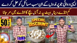 Breeding Formula Bohat hi km Rat pr har Birds Breed kare Ga insha'Allah #lahorientertainmentchannel
