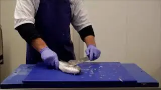 Premier Fish Preparation - Scaling Bream
