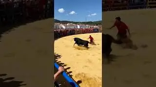 Salida del toro en Madro&ntilde;iz 🐂🔥 | Bous al Carrer Moments #bousalcarrer #fiesta #toro
