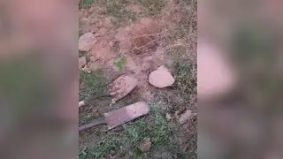 Part 1 of 3 - Digging Up Larger Rocks To Remove From The Horse Pasture.