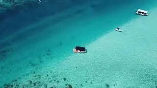 Moorea / plage des Tipaniers / spot raies requins