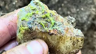 Geology Club of Pennsylvania (trailer)