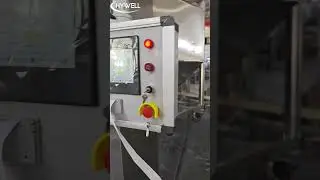 2000L IBC Bin Powder Mixer Test | Industrial Lifting Mixer for Powder Blending