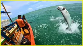 PESCARIA INSANA!! CAMURUPIM QUASE VIROU O BARCO! O maior salto que já filmei 😱
