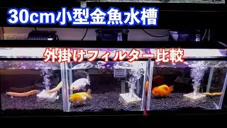 【金魚】小型金魚水槽も悪くない。水槽立ち上げと外掛けフィルター比較。らんちゅう紹介。