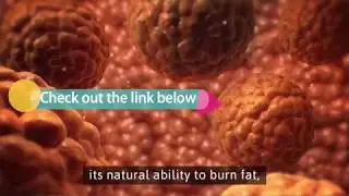 The Red Tea Detox Review. OMG it's hacked only 7$