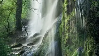 Colorado Bend State Park | Gorman falls | 4K Drone Texas