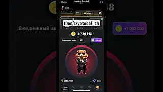 Новый шифр в хомяке #crypto #cryptocurrency #hamsterkombat #music #хомяк #шифр #блокчейн #telegram