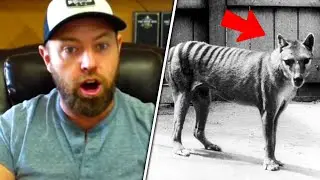 Forrest Galante CRAZY STORY On Tasmanian Tigers In Papua New Guinea