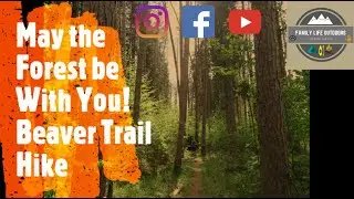 Beaver Trail Hike Ole Bull with kids + dogs Camping day 2 pt. 3