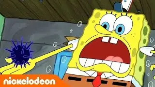 Spongebob Pantaloni Pătrați | Probleme cu Aricii | @nickelodeonromania859