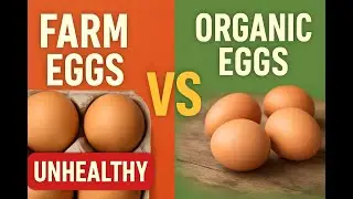 Farm Eggs vs Organic Eggs | What&rsquo;s the REAL Difference?
