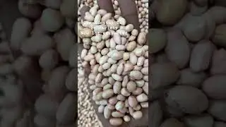 #new #food #top #best #quality #check  #air #dry #process #agriculture #india