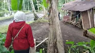Part 2