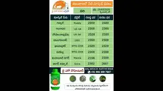 jhk market prices | Ts market prices | Today Paddy market prices in Telangana |    @jaihokisan