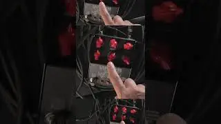 Brining those punishing guitar tones. #shorts #fuzz #fuzzpedal #guitar #distortion #doom