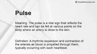 Pulse Meaning