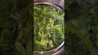 Collard Greens backyard grown to freeze!