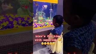 🐟 Kid&rsquo;s Jaw-Dropping Reaction at the Aquarium! | Adorable Fish Encounter 😍