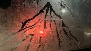 lost mountain - bridget bower