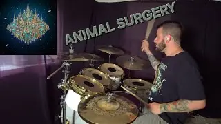 SallyDrumz - Dance Gavin Dance - Animal Surgery Drum Cover
