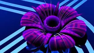 26 Forms @ Umber Vamber & Weejoonz & Egova