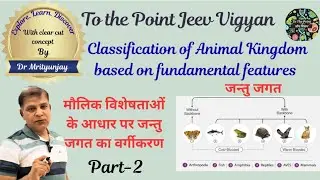 out line classification of animal kingdom#chordata#acreniata#creniata#agnatha#ganethostomata#amniota