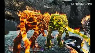 day 4 on a new server