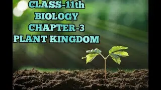 ncert | plant kingdom | plantae | ncert solutions | aiims | aiims result 2019 | neet | neet 2020 |