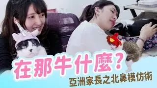 【小熊】賓士貓還是乳牛??煩人主人日常｜小熊實況精華｜貓媽媽日常