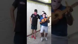 Los tres cerditos de 603