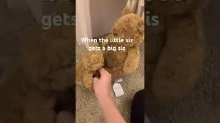 I know it&rsquo;s the older sis gets a lil sis but it&rsquo;s ok I also can&rsquo;t believe I got barthalmew bear !!!