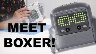 Boxer Unbox and Review