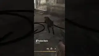 Slaying DOGS in World at War. #callofduty #cod #dogs #sniping