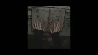 VampireMoney (reverb)