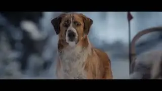 The Call of the Wild (2020) - TV Spot 9