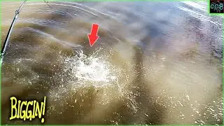 Catching Bass in COLD MUDDY WATER the easy way (fish after fish).